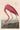 Kunstwerk American Flamingo - John James Audubon