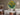 Aardpeer bloemen - Claude Monet in kamer 3