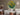 Aardpeer bloemen - Claude Monet in kamer 1