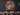 Stilleven met bloemen - Balthasar van der Ast in kamer 3