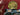 Bloemen - Claude Monet in kamer 2
