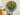 Aardpeer bloemen - Claude Monet in kamer 2