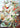 Kunstwerk Kolibries - Ernst Haeckel