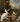 Kunstwerk Het drijvend veertje, een pelikaan en ander gevogelte - Melchior d’ Hondecoeter