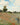Kunstwerk Klaprozenveld bij Argenteuil - Claude Monet