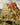 Kunstwerk De Toren van Babel - Pieter Bruegel de Oude