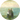 Kunstwerk Vrouwen aan de zee - Jan Toorop