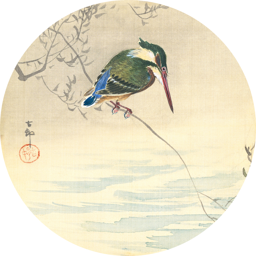 IJsvogel (rond)