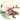 Kunstwerk Tulp en een papaver - Willem van Leen