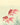 Kunstwerk Goudvissen - Ohara Koson