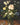 Kunstwerk Stilleven met bloemen in een glas - Jan Brueghel