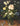 Kunstwerk Stilleven met bloemen in een glas - Jan Brueghel