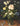 Kunstwerk Stilleven met bloemen in een glas - Jan Brueghel