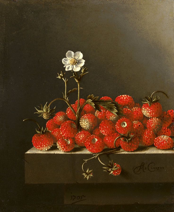 Stilleven met bosaardbeien