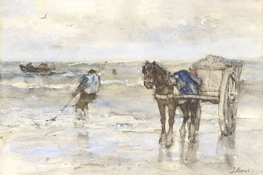 Schelpenvisser op het strand