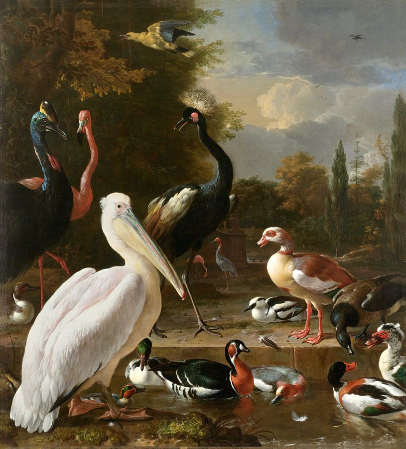 Het drijvend veertje, een pelikaan en ander gevogelte