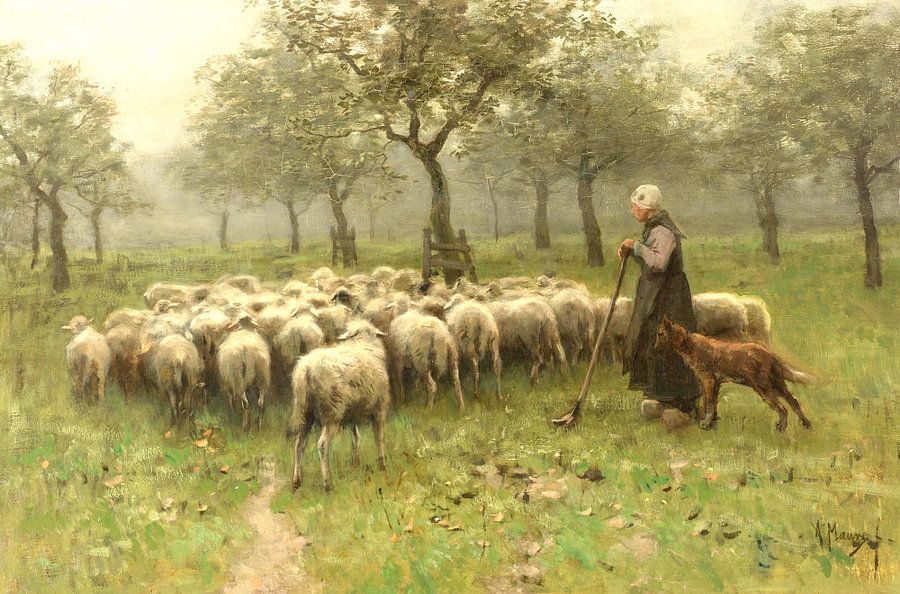 Herderin met kudde schapen